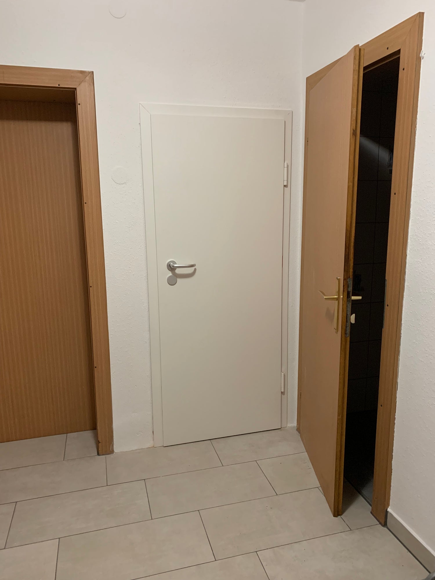 Kellertür / Stahltür in der Farbe Reinweiß - Qualität aus Österreich